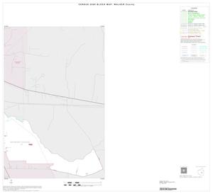 Primary view of object titled '2000 Census County Block Map: Walker County, Inset C02'.