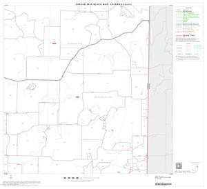 Primary view of object titled '2000 Census County Block Map: Coleman County, Block 12'.