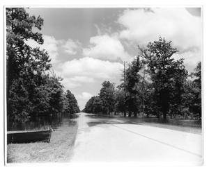 Primary view of object titled '[Photograph of Flooded Roadway]'.