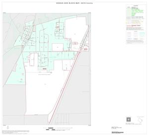 2000 Census County Block Map: Hays County, Inset A01