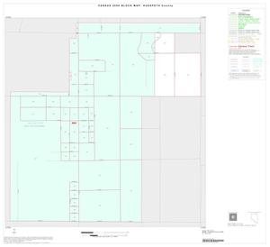 2000 Census County Block Map: Hudspeth County, Inset A01