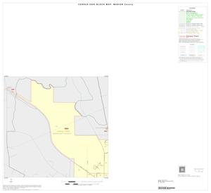 Primary view of object titled '2000 Census County Block Map: Marion County, Inset C01'.