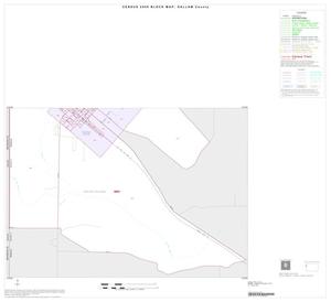 Primary view of object titled '2000 Census County Block Map: Dallam County, Inset A02'.