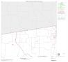 Thumbnail image of item number 1 in: '2000 Census County Block Map: Hunt County, Block 2'.