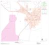 Primary view of 2000 Census County Block Map: Orange County, Block 21