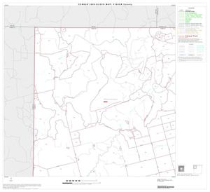 2000 Census County Block Map: Fisher County, Block 1
