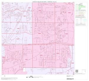 2000 Census County Block Map: Tarrant County, Block 39