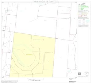 2000 Census County Block Map: Cameron County, Block 20