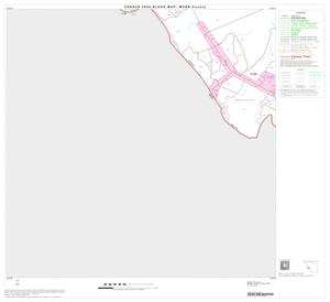 Primary view of object titled '2000 Census County Block Map: Webb County, Block 21'.