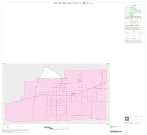 Primary view of object titled '2000 Census County Block Map: Dickens County, Inset A01'.
