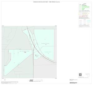 Primary view of object titled '2000 Census County Block Map: Tom Green County, Inset E01'.