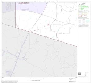Primary view of object titled '2000 Census County Block Map: Burnet County, Block 19'.
