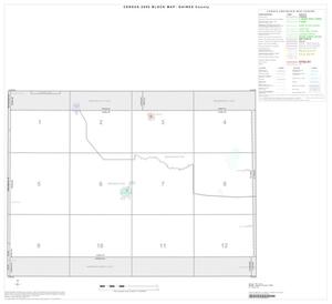 Primary view of object titled '2000 Census County Block Map: Gaines County, Index'.
