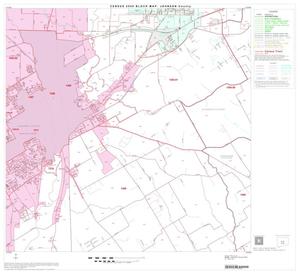 Primary view of object titled '2000 Census County Block Map: Johnson County, Block 13'.