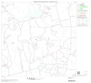 2000 Census County Block Map: Taylor County, Block 18