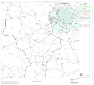 Primary view of object titled '2000 Census County Block Map: Panola County, Block 10'.