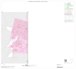 Primary view of object titled '2000 Census County Block Map: Duval County, Inset C01'.