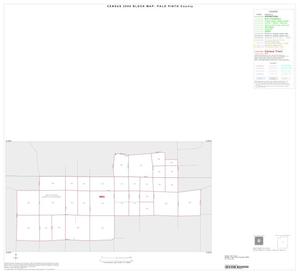 Primary view of object titled '2000 Census County Block Map: Palo Pinto County, Inset C01'.