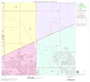 2000 Census County Block Map: Collin County, Block 29