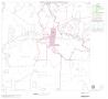 Thumbnail image of item number 1 in: '2000 Census County Block Map: Menard County, Block 5'.