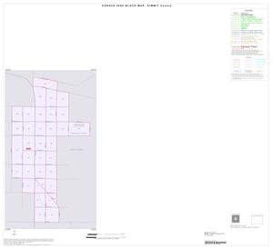 2000 Census County Block Map: Dimmit County, Inset D01