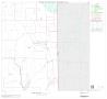 Thumbnail image of item number 1 in: '2000 Census County Block Map: Chambers County, Block 10'.