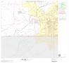 Thumbnail image of item number 1 in: '2000 Census County Block Map: Gregg County, Block 20'.