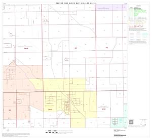 2000 Census County Block Map: Hidalgo County, Block 72