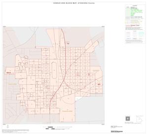 2000 Census County Block Map: Atascosa County, Inset D01