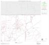 Primary view of 2000 Census County Block Map: Duval County, Block 2