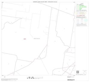 2000 Census County Block Map: Hidalgo County, Block 22