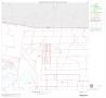 Map: 2000 Census County Block Map: Willacy County, Block 2