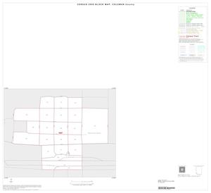 Primary view of object titled '2000 Census County Block Map: Coleman County, Inset C01'.