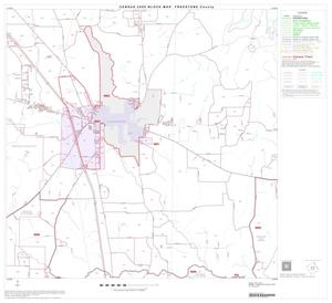 2000 Census County Block Map: Freestone County, Block 10
