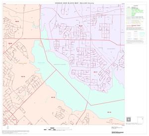 2000 Census County Block Map: Dallas County, Block 29