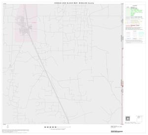 Primary view of object titled '2000 Census County Block Map: Winkler County, Block 1'.
