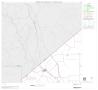 Map: 2000 Census County Block Map: Live Oak County, Block 1