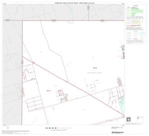Primary view of object titled '2000 Census County Block Map: Midland County, Block 1'.