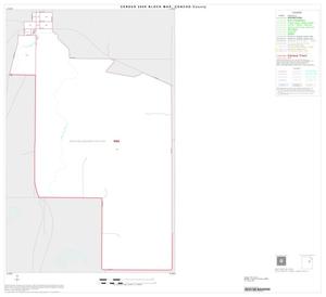 Primary view of object titled '2000 Census County Block Map: Concho County, Inset B01'.