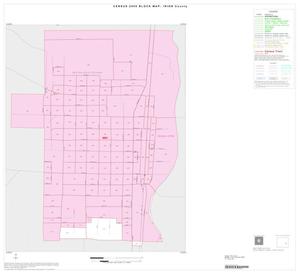 Primary view of object titled '2000 Census County Block Map: Irion County, Inset A01'.