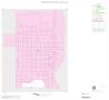 Thumbnail image of item number 1 in: '2000 Census County Block Map: Irion County, Inset A01'.