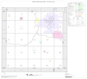 Primary view of object titled '2000 Census County Block Map: Taylor County, Index'.
