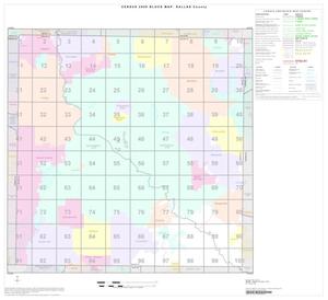 Primary view of object titled '2000 Census County Block Map: Dallas County, Index'.