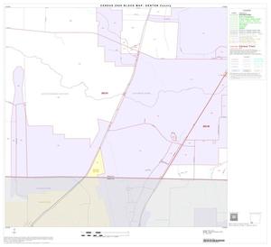 2000 Census County Block Map: Denton County, Block 50