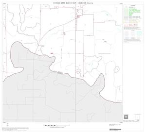2000 Census County Block Map: Coleman County, Block 23