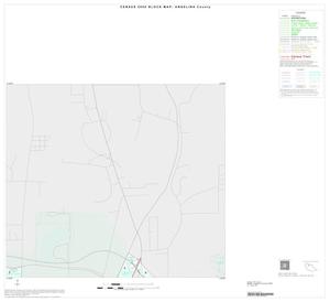 Primary view of object titled '2000 Census County Block Map: Angelina County, Inset B02'.
