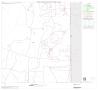Map: 2000 Census County Block Map: Webb County, Block 13