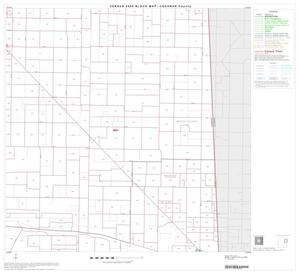 Primary view of object titled '2000 Census County Block Map: Cochran County, Block 6'.