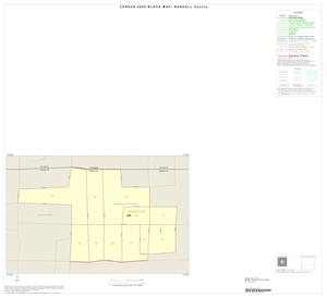 2000 Census County Block Map: Randall County, Inset A01