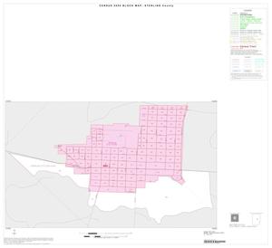 Primary view of object titled '2000 Census County Block Map: Sterling County, Inset A01'.